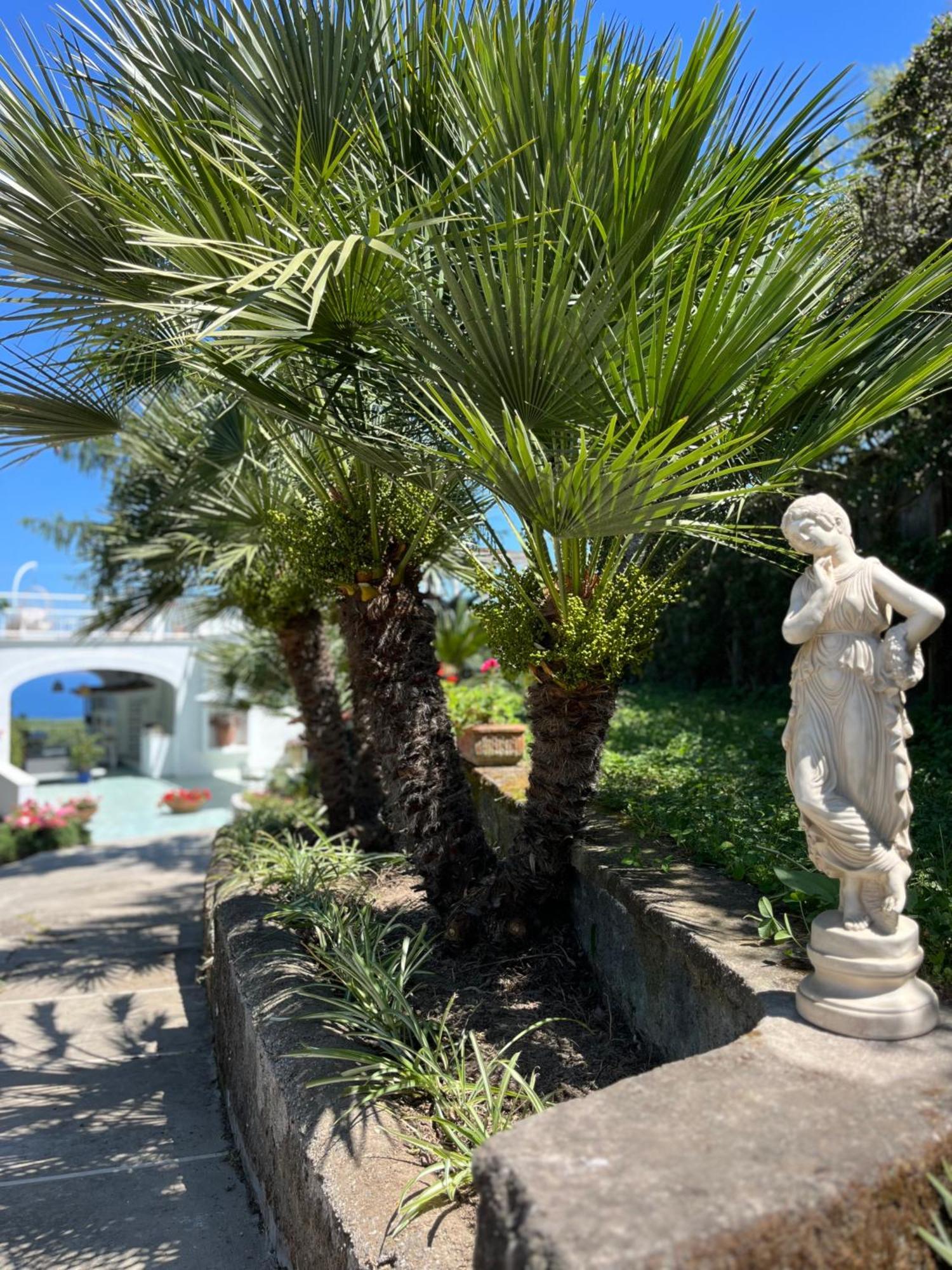Sorrento Olive Tree Garden Hotel Ngoại thất bức ảnh