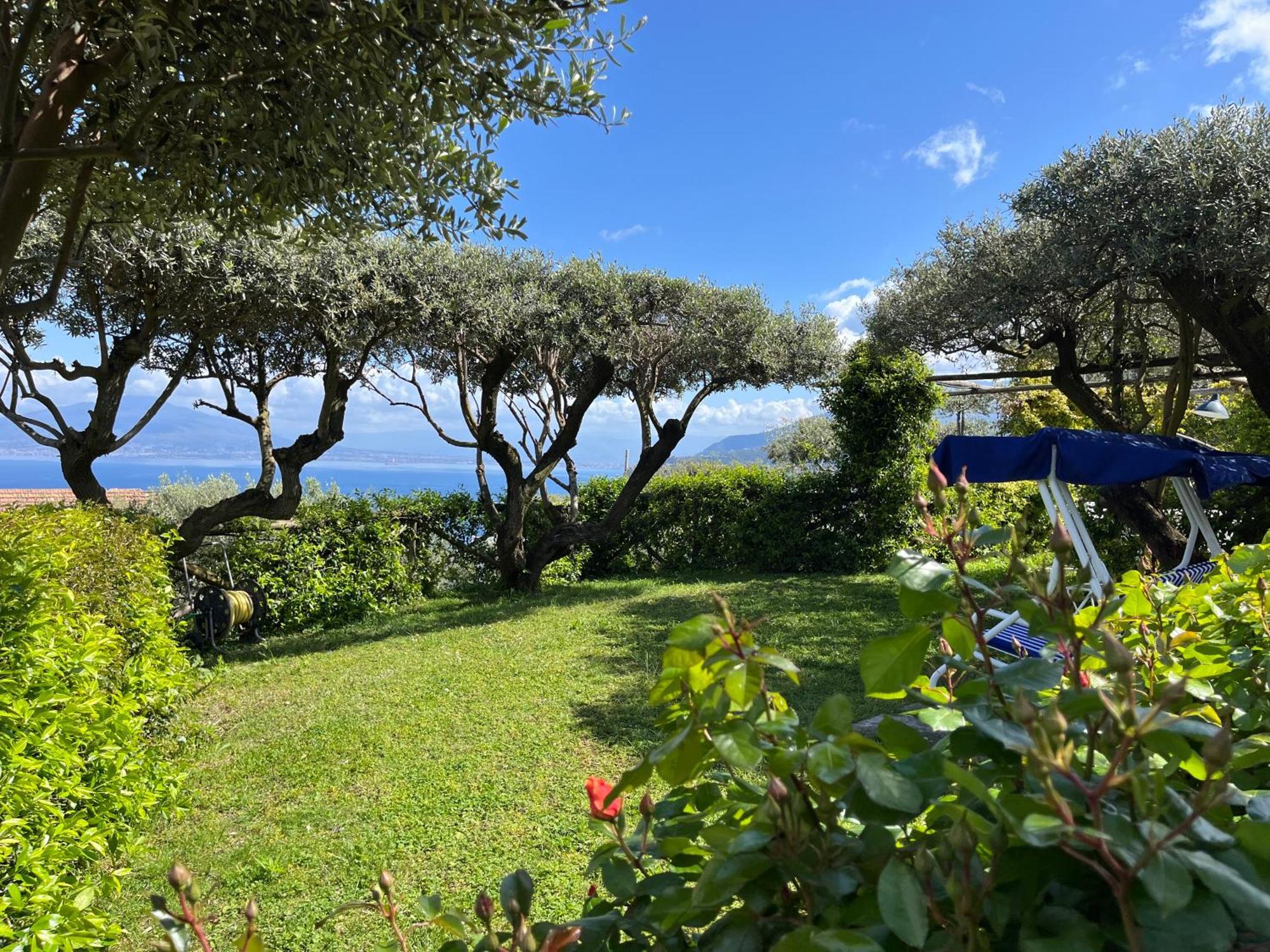 Sorrento Olive Tree Garden Hotel Ngoại thất bức ảnh